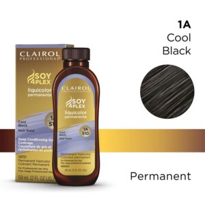 Clairol Soy4Plex 1A Cool Black Permanent Hair Dye