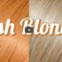 How To Go From Natural Black To Ash blonde Using Wella Dark Ash Blonde & Light Ash Blonde